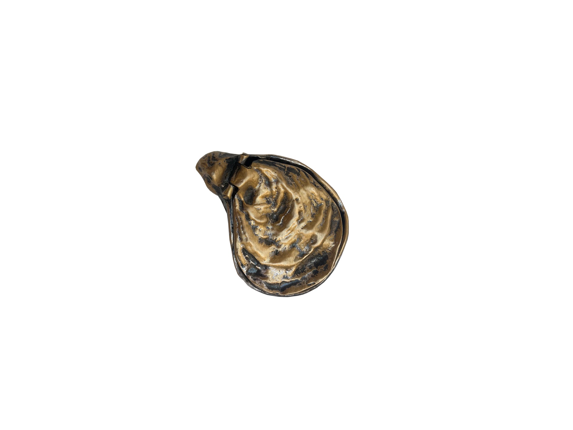 Brass Oyster Shell Jewelry Box