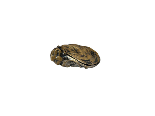 Brass Oyster Shell Jewelry Box